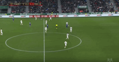 2025 年 11 月：大谷翔平被日本政府授予“体育荣誉大奖”，表彰其卓越贡献